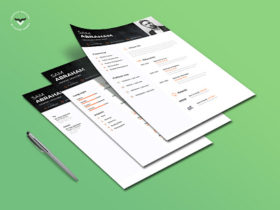 Professional CV Template