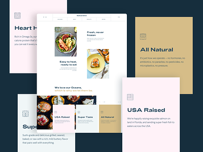 Bluehouse Salmon – Responsive Website adchitects branding design features healthy food icons illustration salmon sustainability ui ui design ux ux design vector