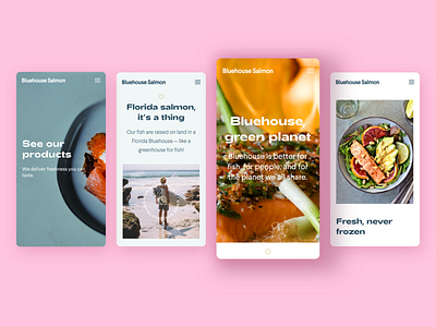 Bluehouse Salmon – Responsive Website adchitects branding design florida healthy food icons mobile sustainability ui ui design us usa raised ux ux design vector