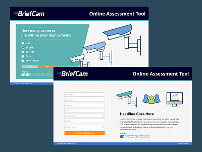 BriefCam Interactive Decision Tree banner ads design digital marketing graphic design illustration microsite website design