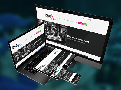 Pride Bands Alliance Website Design/Build design web design website design