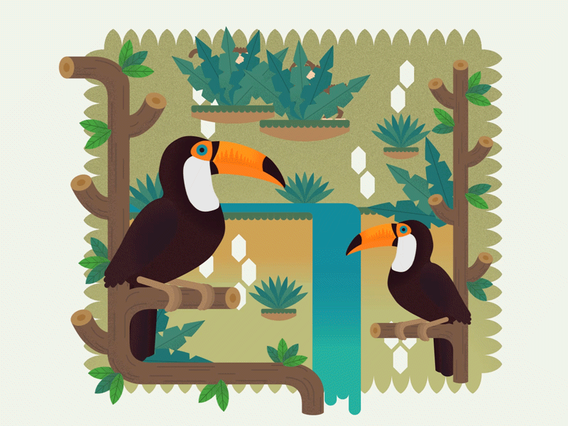 Hidden Animals : Toucans and Monkeys animal animals forest jungle monkey toucan tropical waterfall