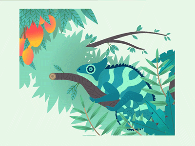 Hidden Animals : Chameleon & Bird animal animals animation bird chameleon color forest fruit jungle motion design tree tropical