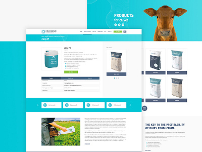 MUSTANG | Product card & Сategory blue corporate cow homepage product rwd ui ux webdesign