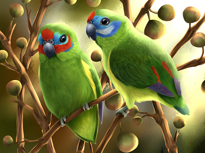 Dribble australia double eyed fig parrot parrot