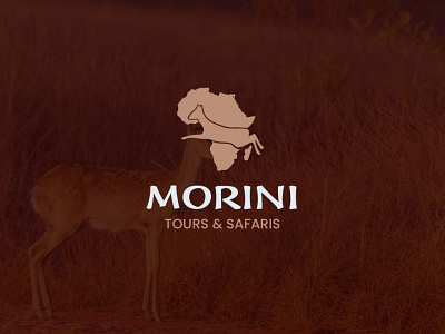 Morini Tour and Safaris logo design branding design icon logo logodesign logos