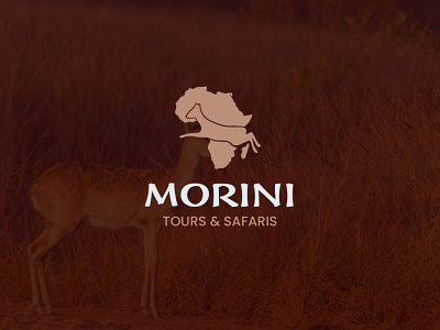 Morini Tour and Safaris logo design