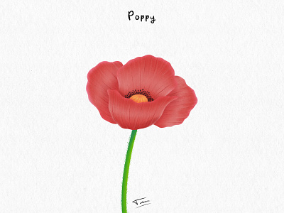 FLWRS - Poppy