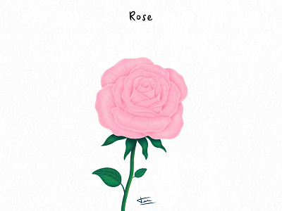 FLWRS -  Rose