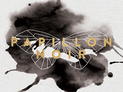 Papillon Noir Logo Exploration