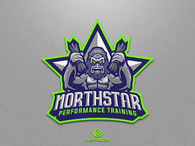 Northstar branding design esport gaming identity illustration logo logotype mascot sport sports