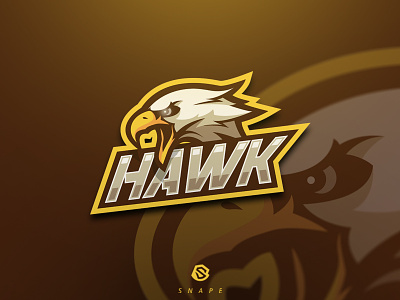 Hawk Team - Mascot Logo branding design gaming logo mascot sport
