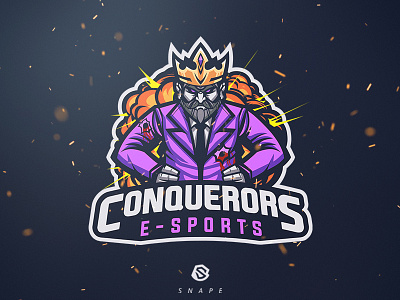 Conquerors E-Sport