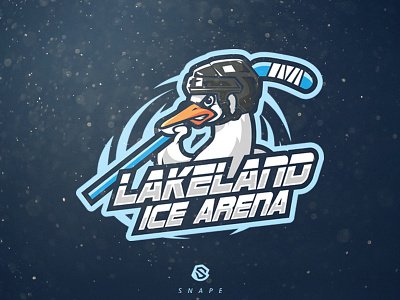 Lakeland Ice Arena