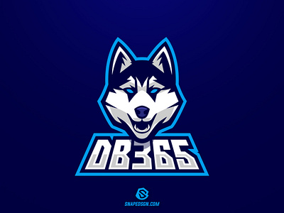 DB365 branding esport gaming identity illustration logo logotype mascot sport twitch