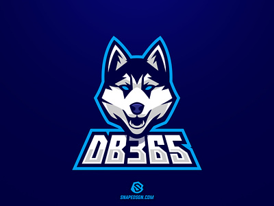 DB365