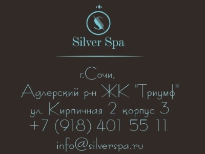 Silver SPA: logo & corporate identity adler beauty logo salon sochi studio