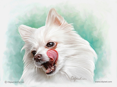 Spitz dog digital portrait painting by Oilpixel