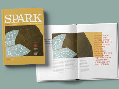 Spark Magazine Cover + Selected Spread biomimicry groupproject magazine midcenturymodern publication student