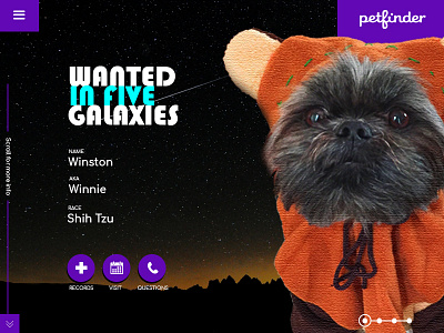 Petfinder adoption page design dog graphic design pet prototype star wars ui ux web design