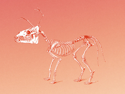 Anatomistake anatomy creature creaturedesign design illustration photoshop