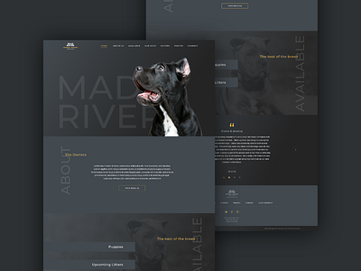 Mad River Cane Corso Website breeders create creative design dogs landing page type typography ui uiux ux web design website