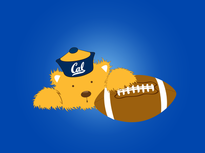 Rookie Bear
