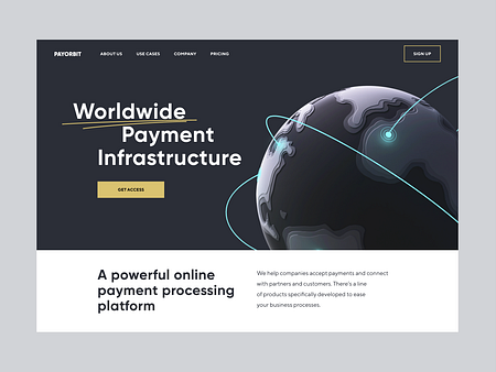 Payment Processing Platform by Conceptzilla on Dribbble