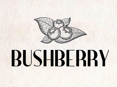 Blueberry Bush