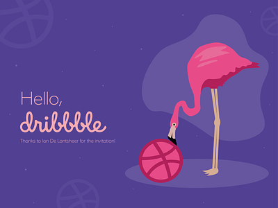 Hello Dribbble! adobe illustrator animal animal art design first design first post first shot firstshot flamingo hello dribble hello world illustration new purple