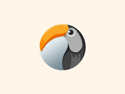 Toucan bird illustration toucan