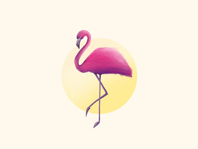 Flamingo