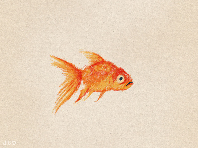 Goldfish Sketch 02 character colored pencil fish flat character goldfish jud lively sketch sketchbook wip