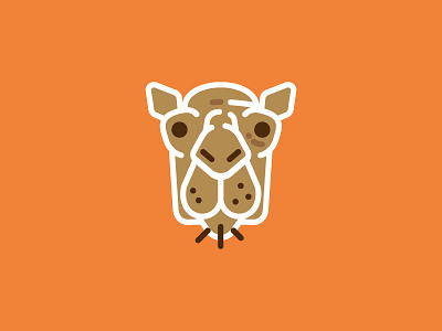 Camel animal camel color fun illustration minimal vector