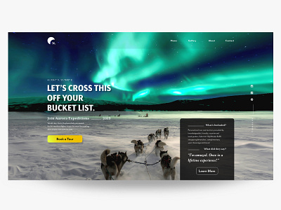 UI Practice-1  --- Northern Lights Tour Landing Page