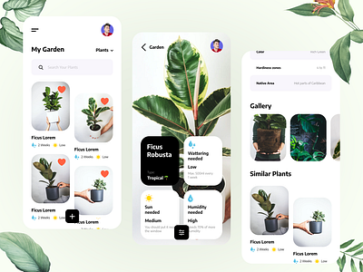 Botanic. Plants Library App 🌱