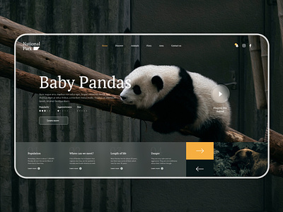 National Zoo designs, themes, templates and downloadable graphic elements  on Dribbble