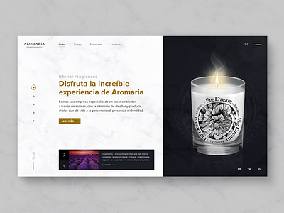 Website Aromaria design landing page logo typography ui ui design ux ux design web website