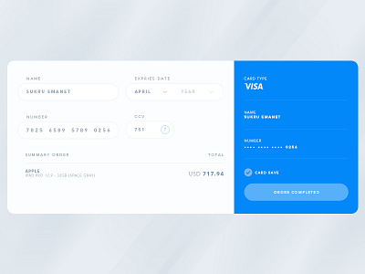 Payment - Visa Card