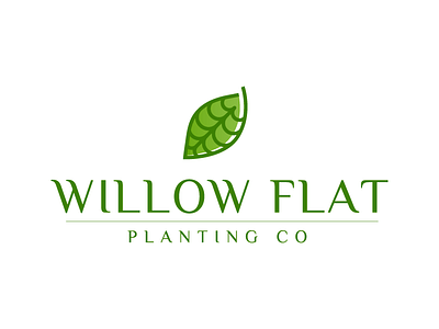 Willow Flat logo folio identity logo portfolio sound