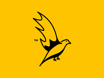 Bird Minimal logo bird bird logo folio icon identity logo minimal