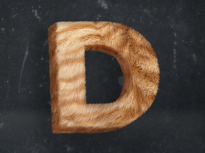 Hairy-D 3d cat d design fur hairy hairy letter illustration letter typography