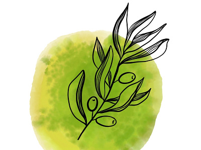 Olive branch branding design oil olive vector watercolor
