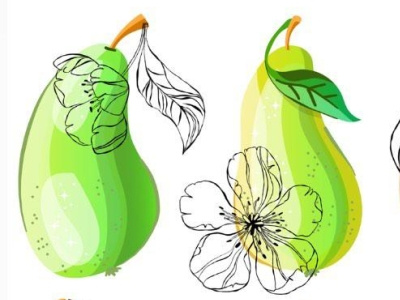 Pear lemonade branding design illustration vector