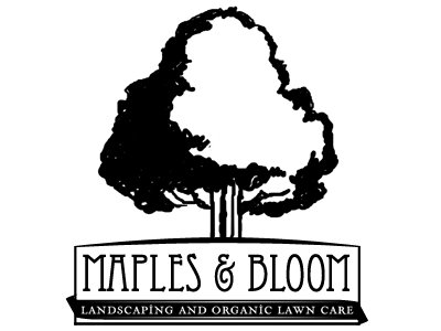 Maples & Bloom Logo branding illustration logo