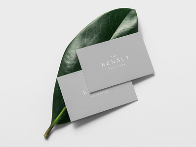 Bensly Branding 02