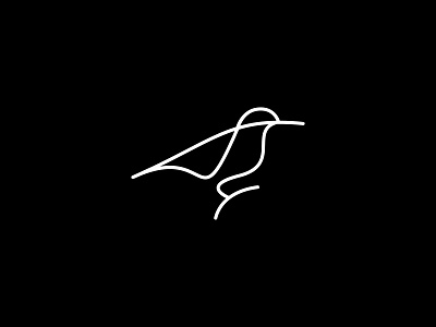 BIRD dribbble icon logo