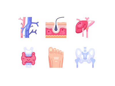 Organ anatomy Flat design icon