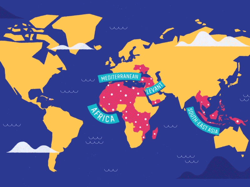 World map Animation