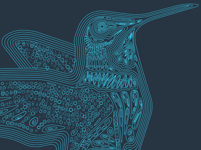 Humming Bird bird blue illustration techincal